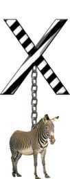 X-Zebra-Charm_ccnan.jpg
