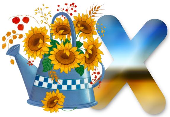 X-lg.png
