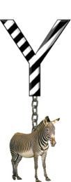 Y-Zebra-Charm_ccnan.jpg