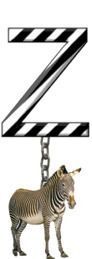 Z-Zebra-Charm_ccnan.jpg