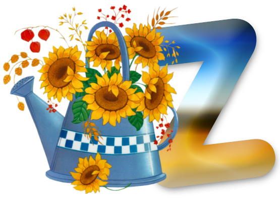 Z-lg.png