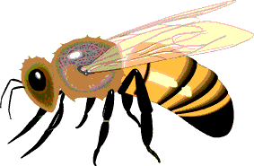 abeille-120.gif