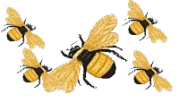 abeille-121.gif