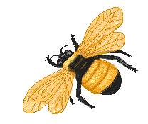 abeille-40.gif