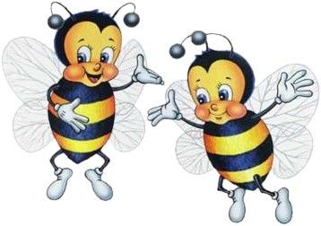 abeille-43232324567677887.jpg