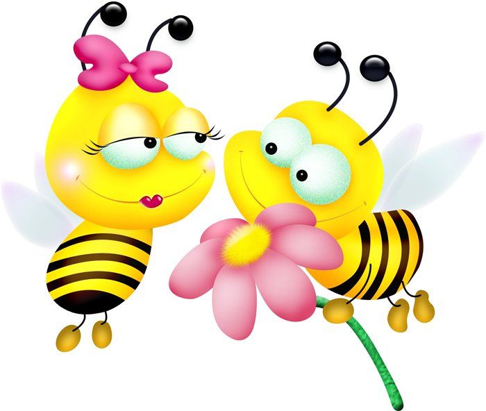 abeille-434343546567678787875.jpg