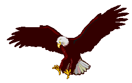 aigle-30.gif