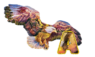 aigle-5433-1.gif