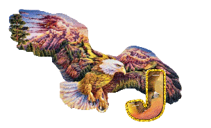 aigle-5433-10.gif
