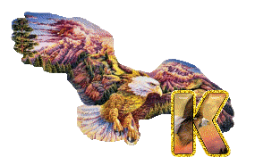 aigle-5433-11.gif