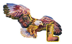 aigle-5433-12.gif