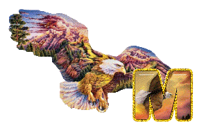 aigle-5433-13.gif