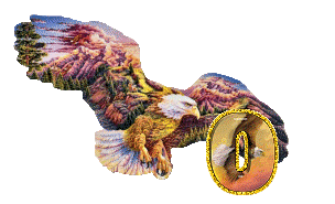 aigle-5433-15.gif