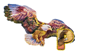 aigle-5433-16.gif