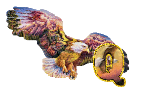 aigle-5433-17.gif