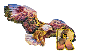 aigle-5433-18.gif