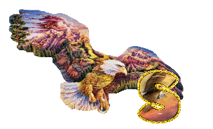 aigle-5433-19.gif