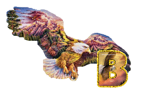 aigle-5433-2.gif