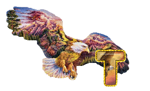 aigle-5433-20.gif