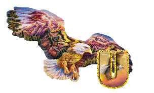 aigle-5433-21.gif
