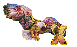 aigle-5433-24.gif