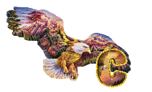 aigle-5433-3.gif
