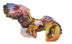 aigle-5433-4.gif