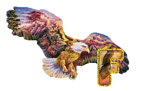 aigle-5433-6.gif