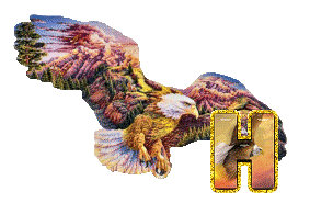 aigle-5433-8.gif
