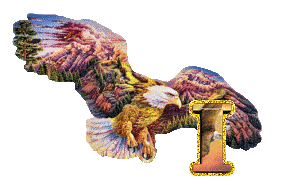 aigle-5433-9.gif