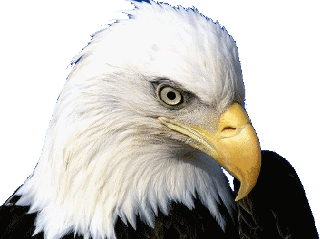 aigle-59.gif