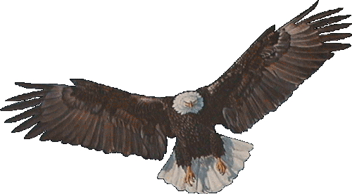 aigle-89.gif