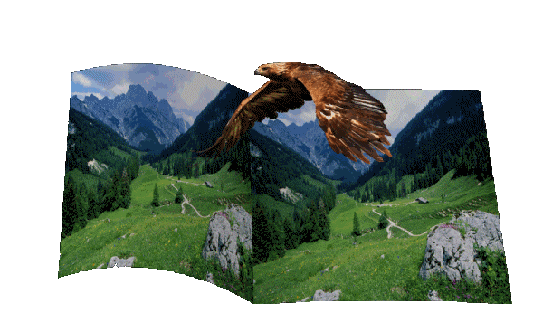 aigle-paysage-1.gif