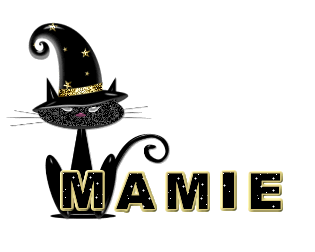 alpha_gato_mamie.gif