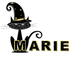 alpha_gato_marie.gif