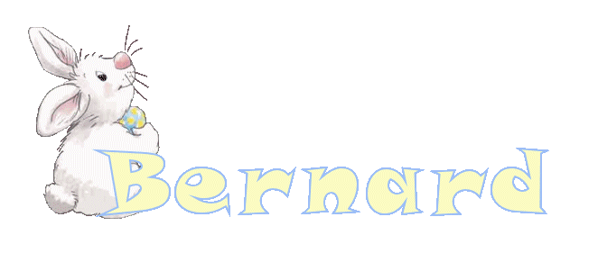 alpha_lapinblanc_bernard.gif