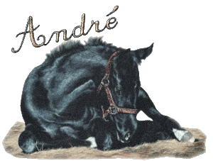 andre-giff_1.gif