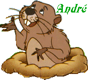 andre3i.gif