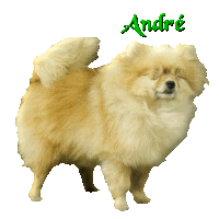 andrechien1.gif