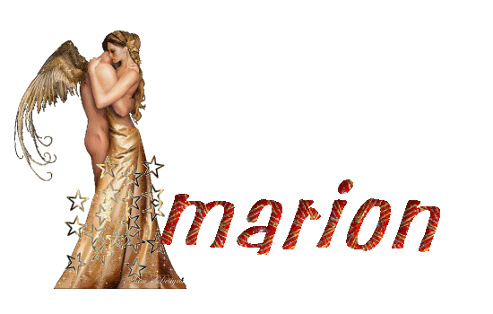 ange_couple_marion.gif