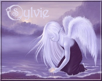 ange_elfe_sylvie.gif
