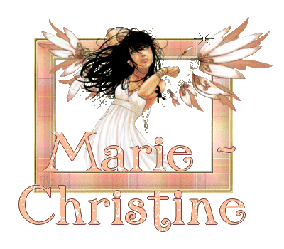 ange_horscadre_marie_christine_1.gif