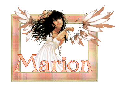 ange_horscadre_marion.gif