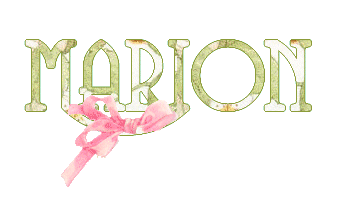 anniv_oursonne_fraises_marion.gif