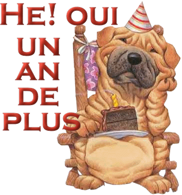 anniversaire-55.gif