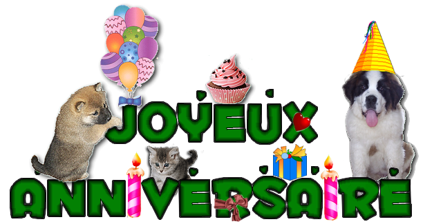 anniversaire2.png