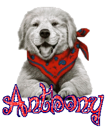 anthon10.gif