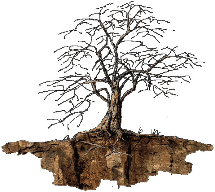 arbre-37.gif