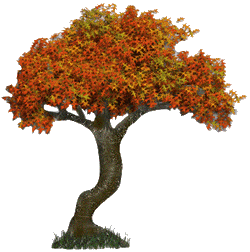 arbre-4.gif