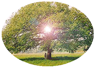 arbre-46.gif